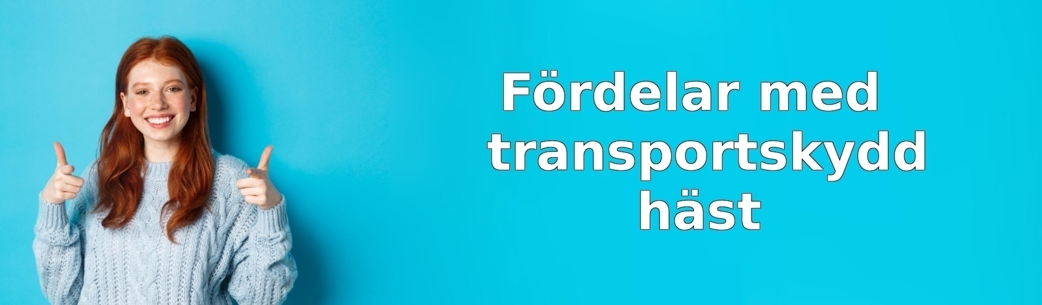 Fördelar med transportskydd häst