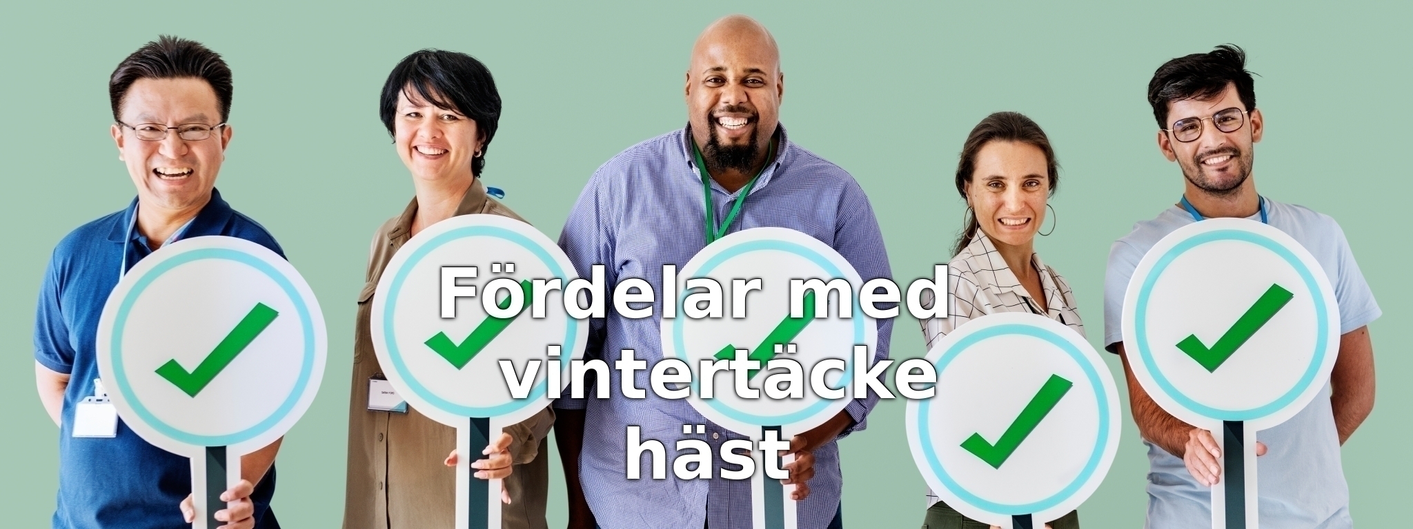 Fördelar med vintertäcke häst