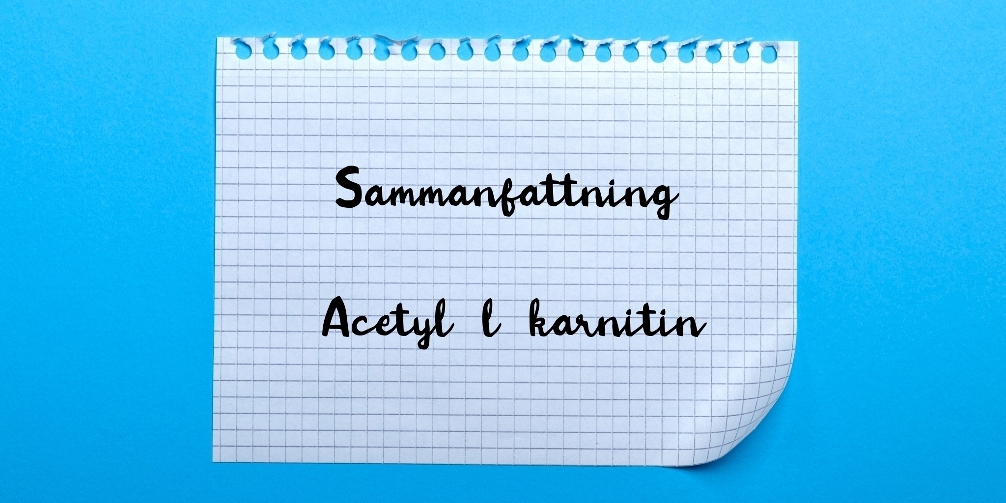 Sammanfattning av acetyl-l-karnitin