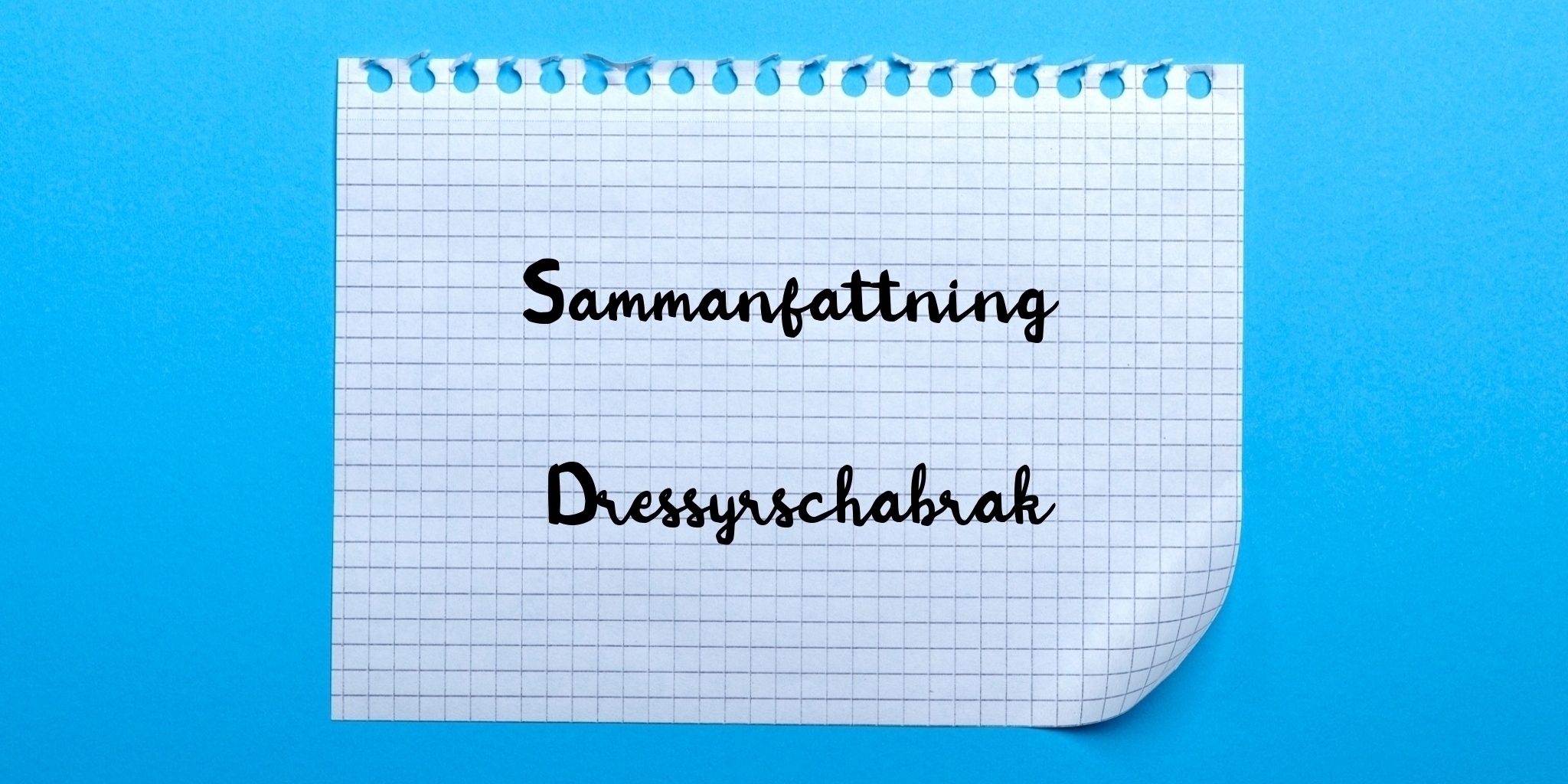 Sammanfattning av dressyrschabrak