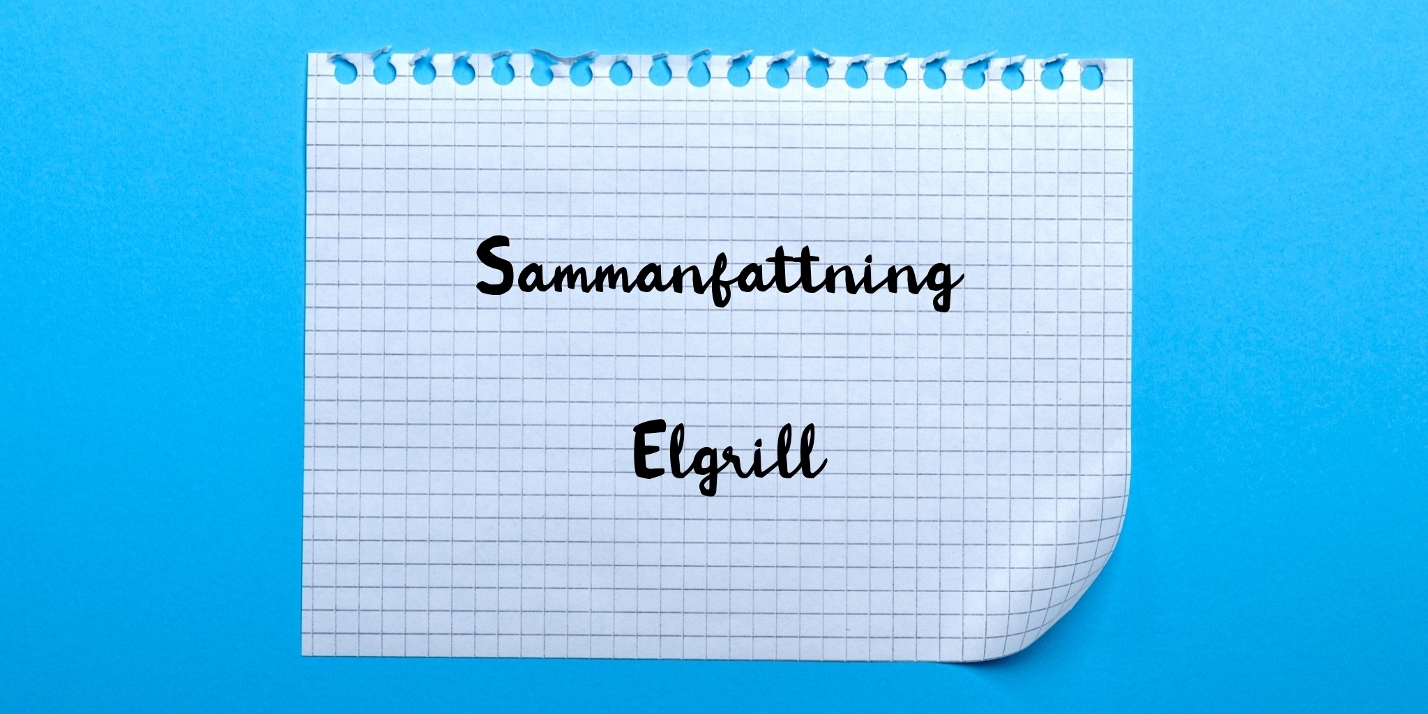 Sammanfattning av elgrill