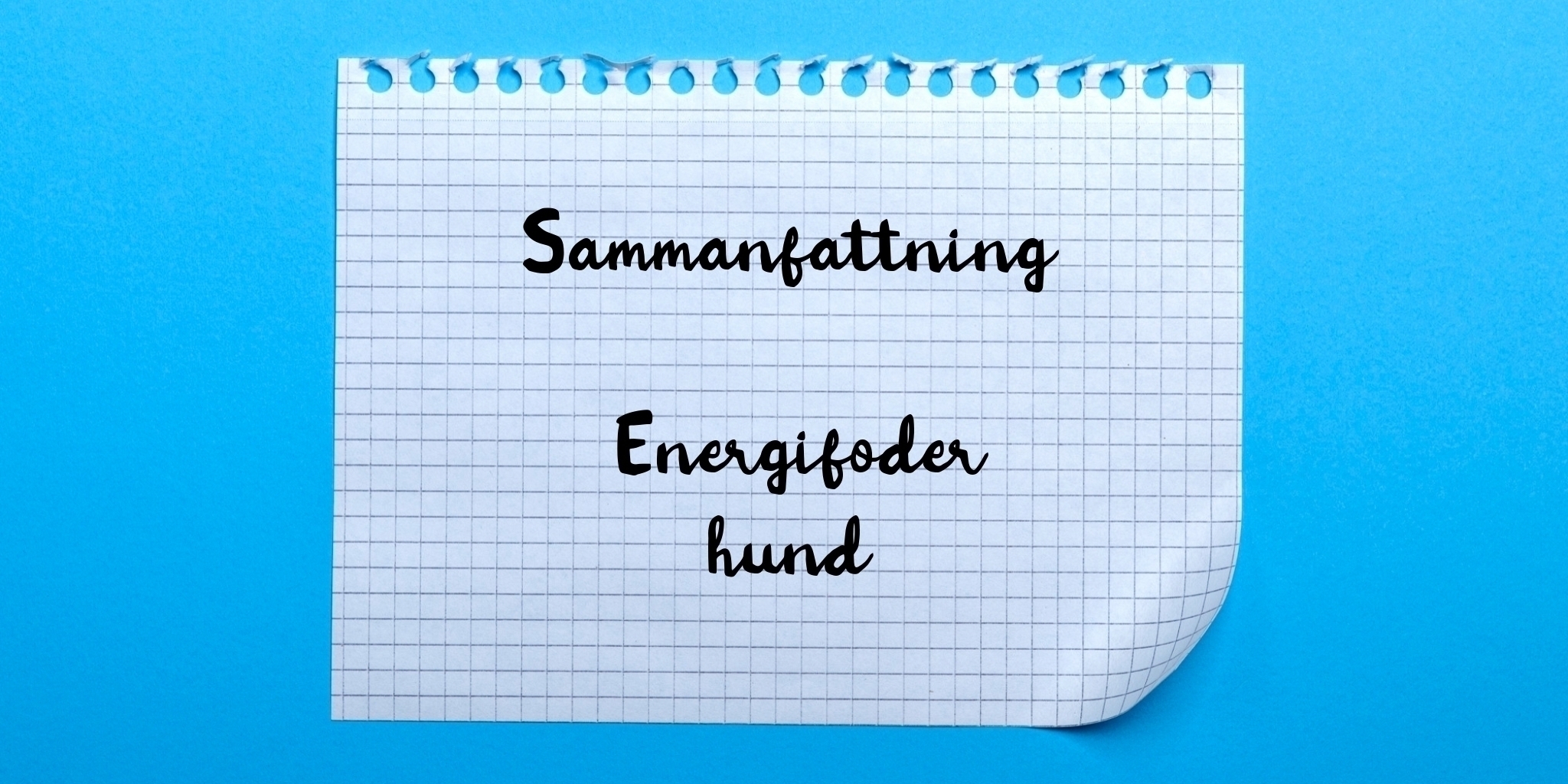 Sammanfattning av energifoder hund