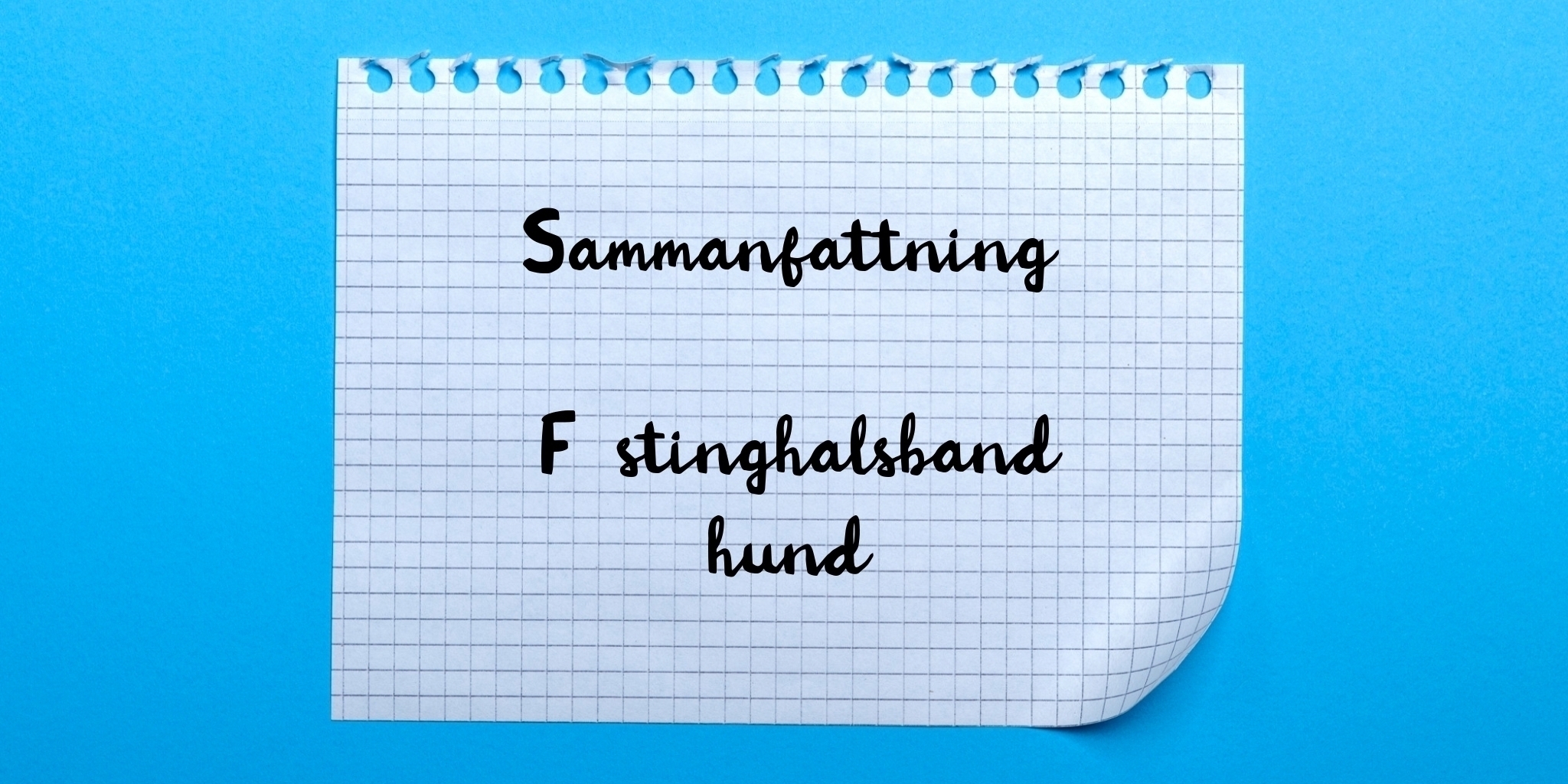 Sammanfattning av fästinghalsband hund
