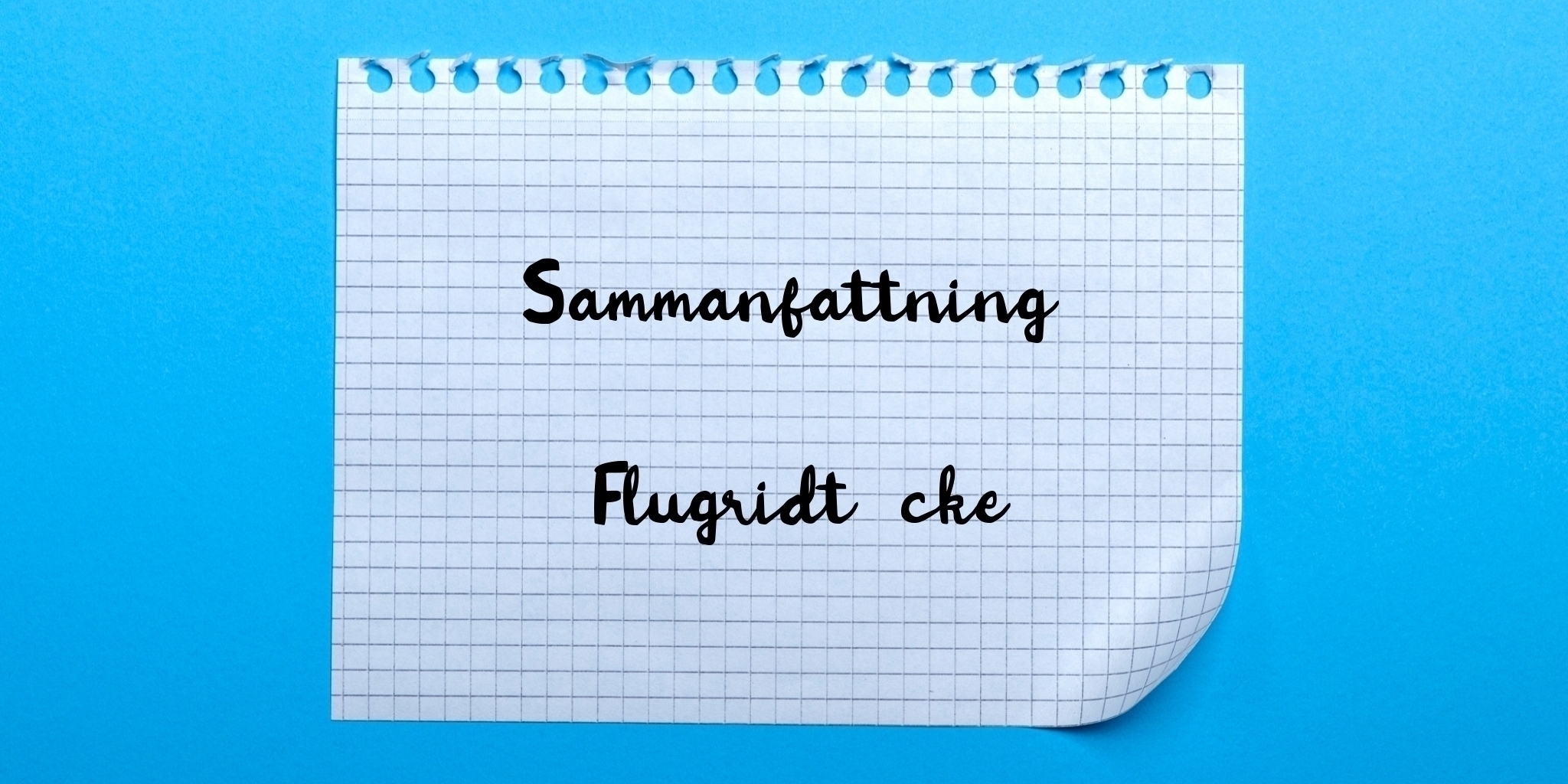 Sammanfattning av flugridtäcke
