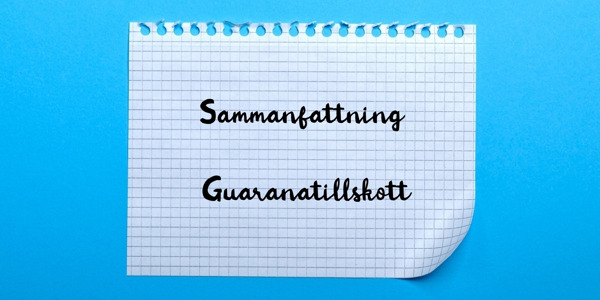 Sammanfattning av guaranatillskott