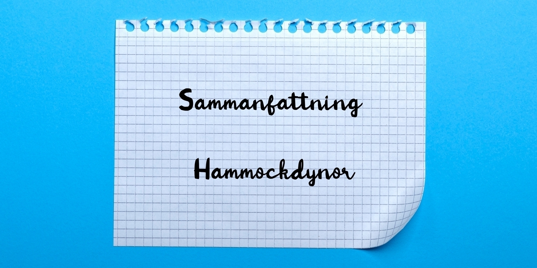 Sammanfattning av hammockdynor