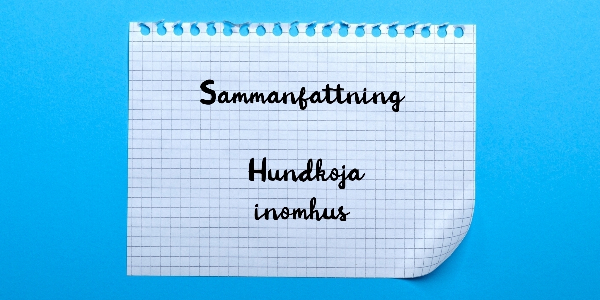 Sammanfattning av hundkoja inomhus