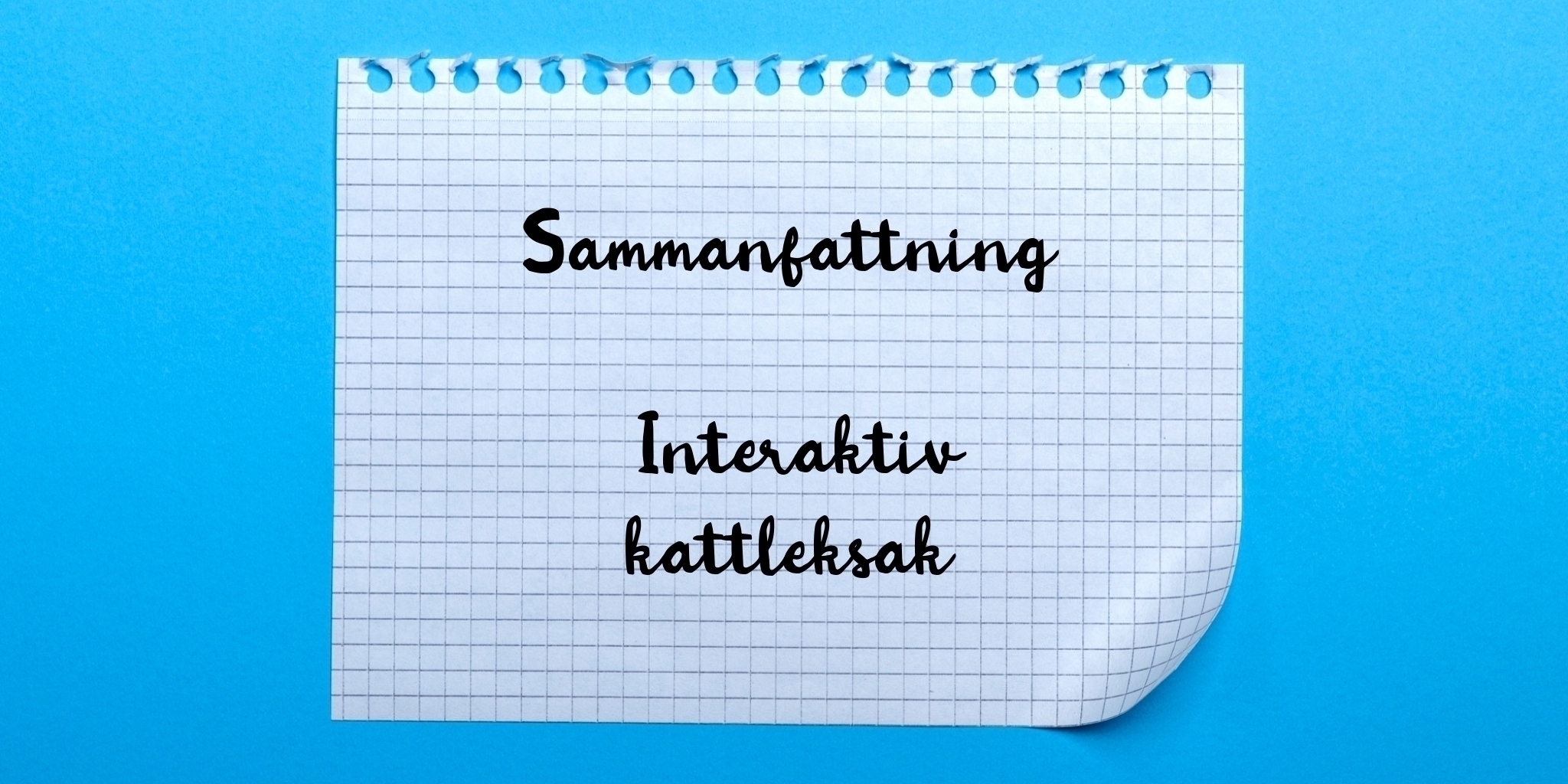 Sammanfattning av interaktiv kattleksak