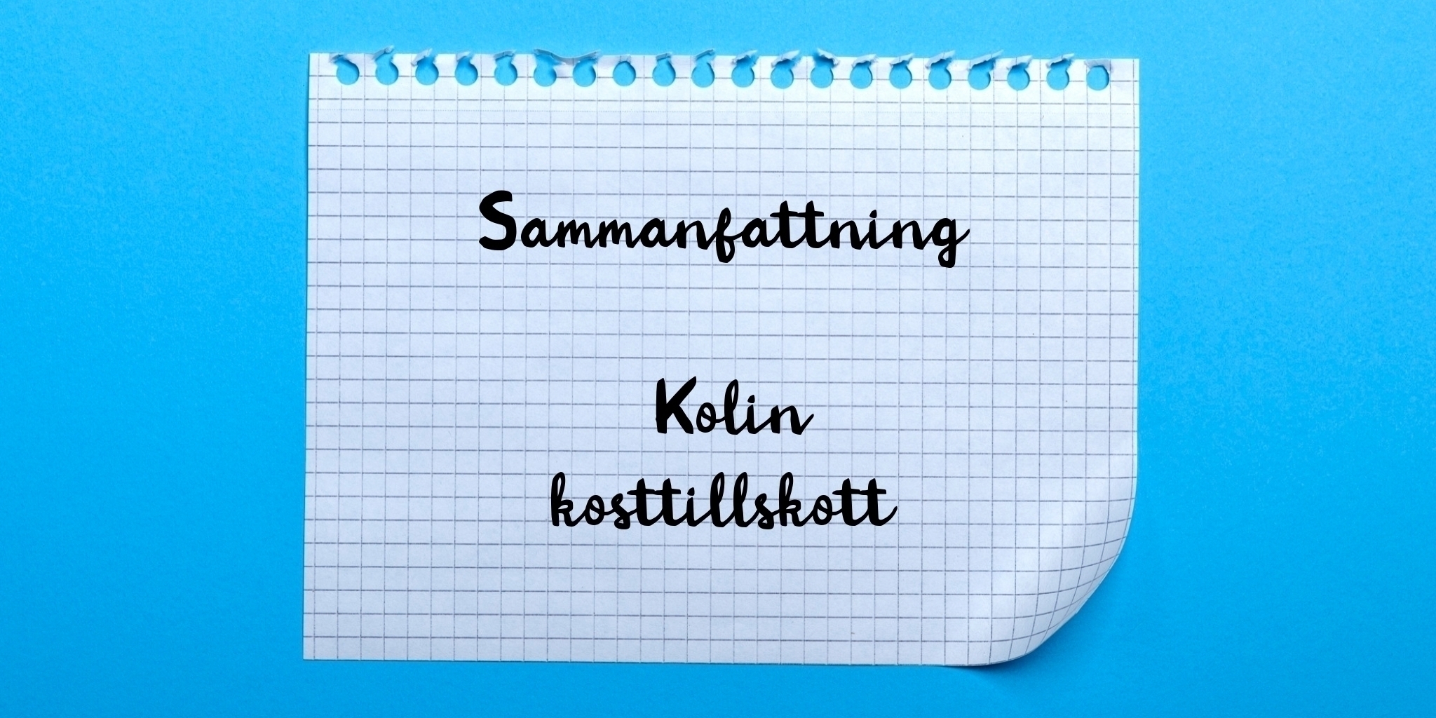 Sammanfattning av kolin kosttillskott