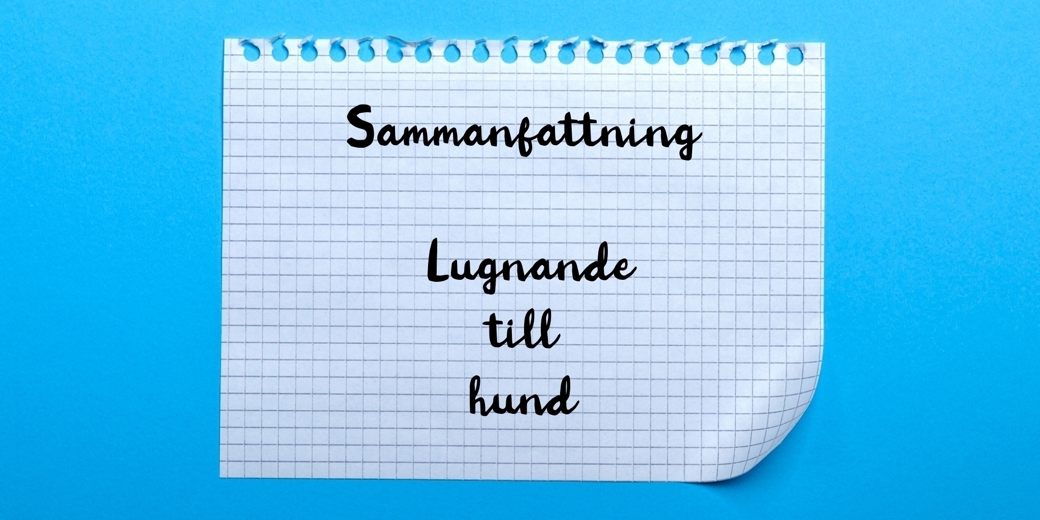 Sammanfattning av lugnande till hund