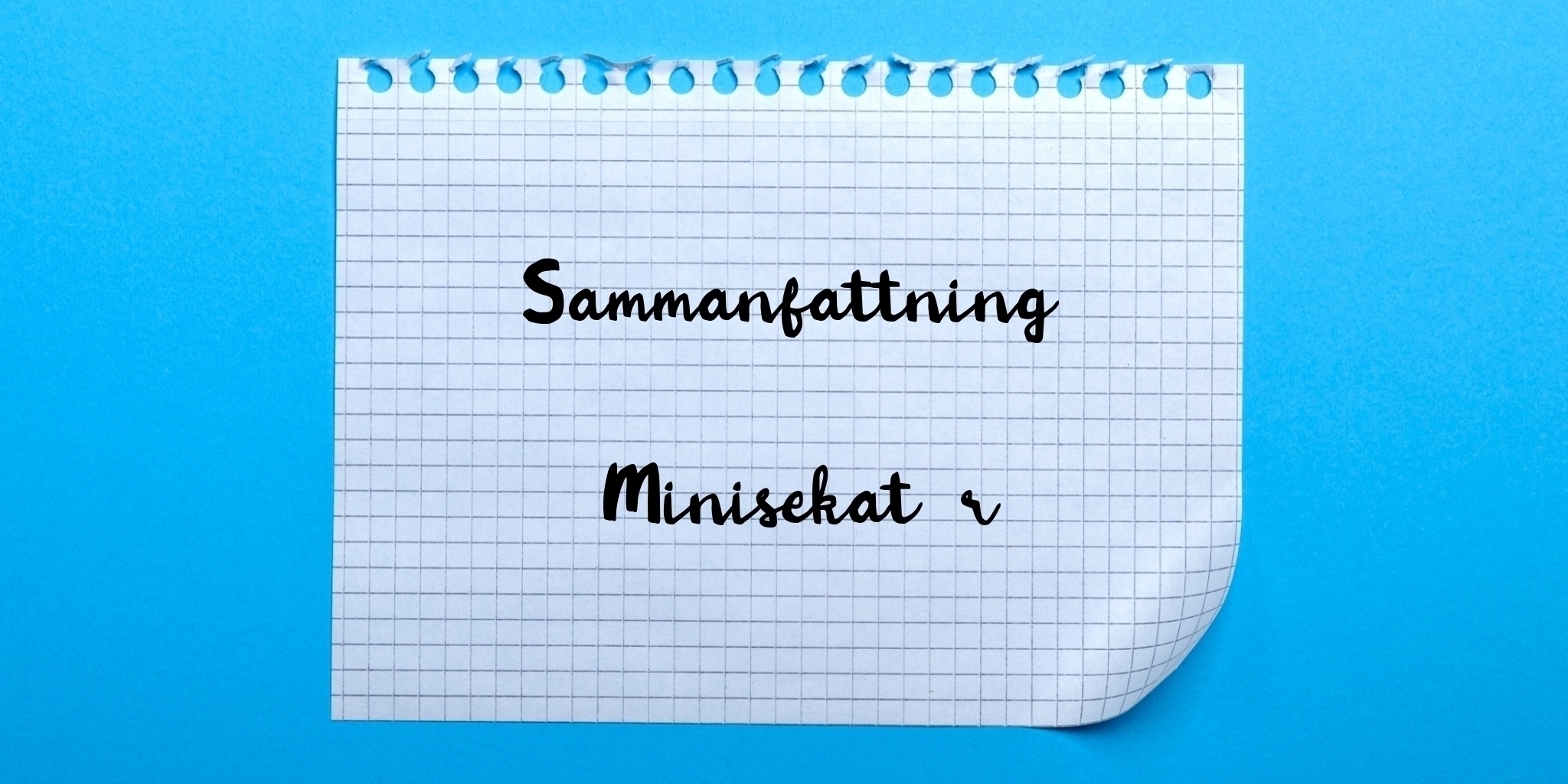 Sammanfattning av minisekatör