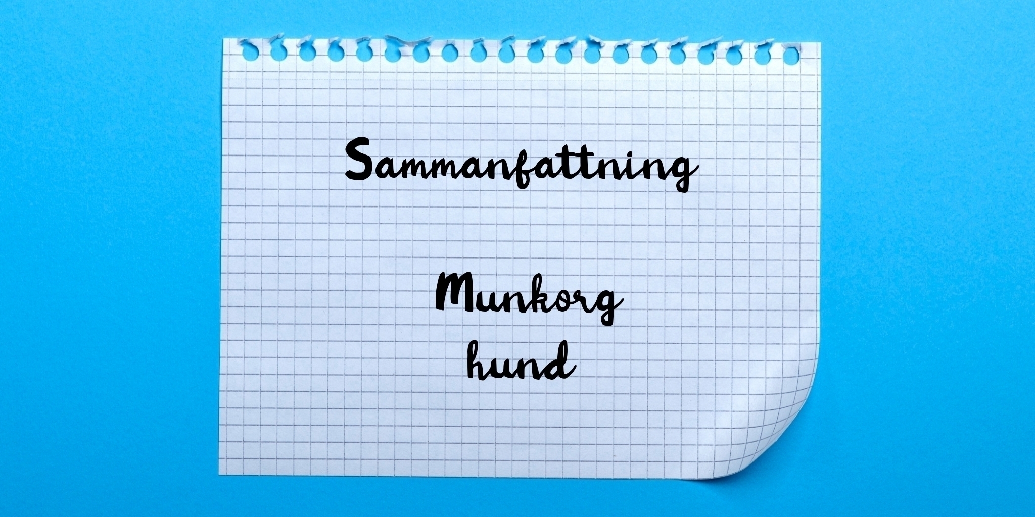 Sammanfattning av munkorg hund