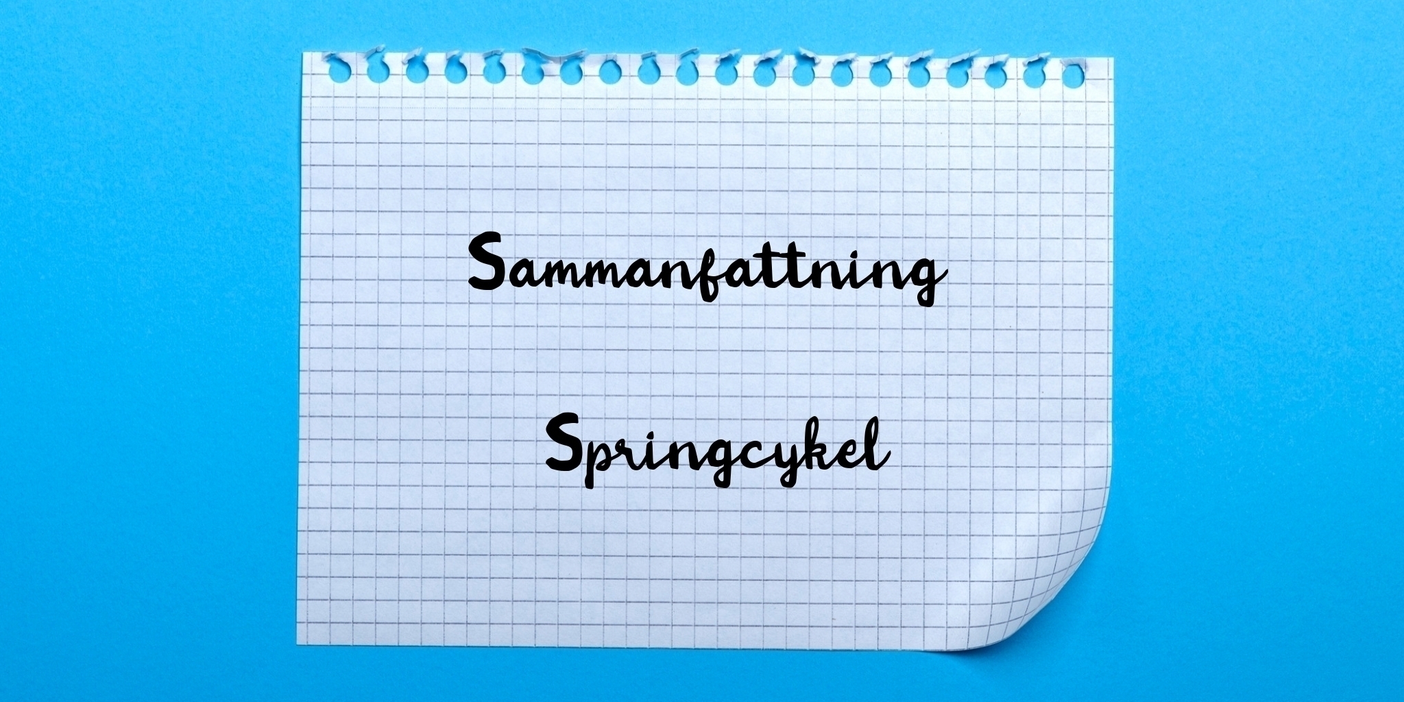 Sammanfattning av springcykel