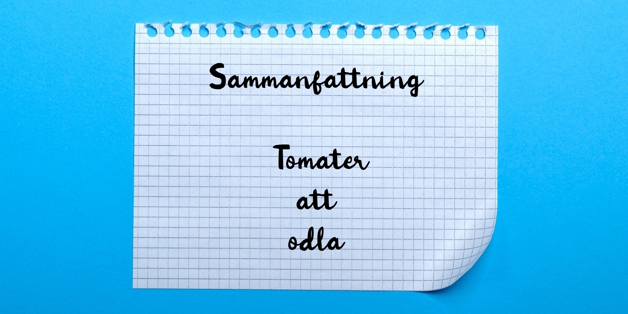 Sammanfattning av tomater att odla