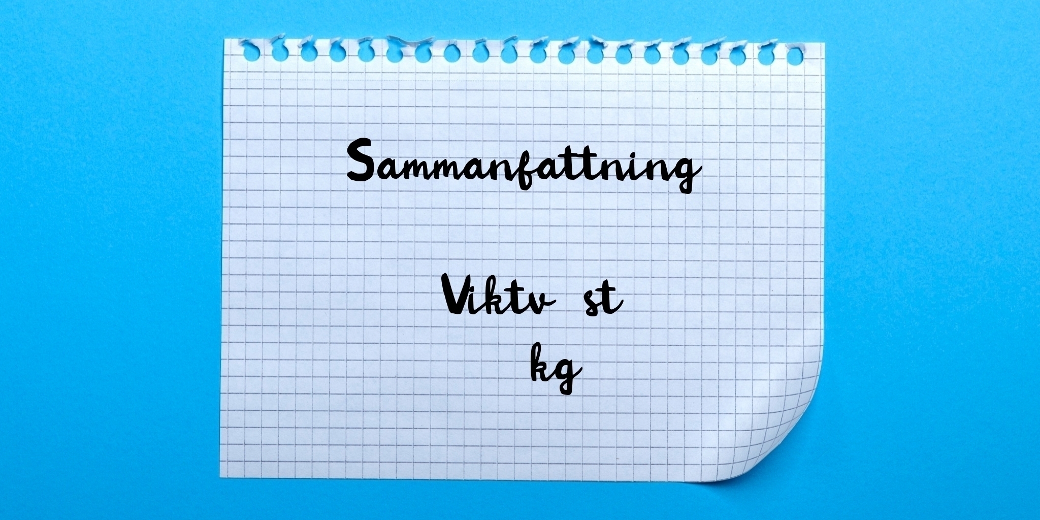 Sammanfattning av viktväst 20kg