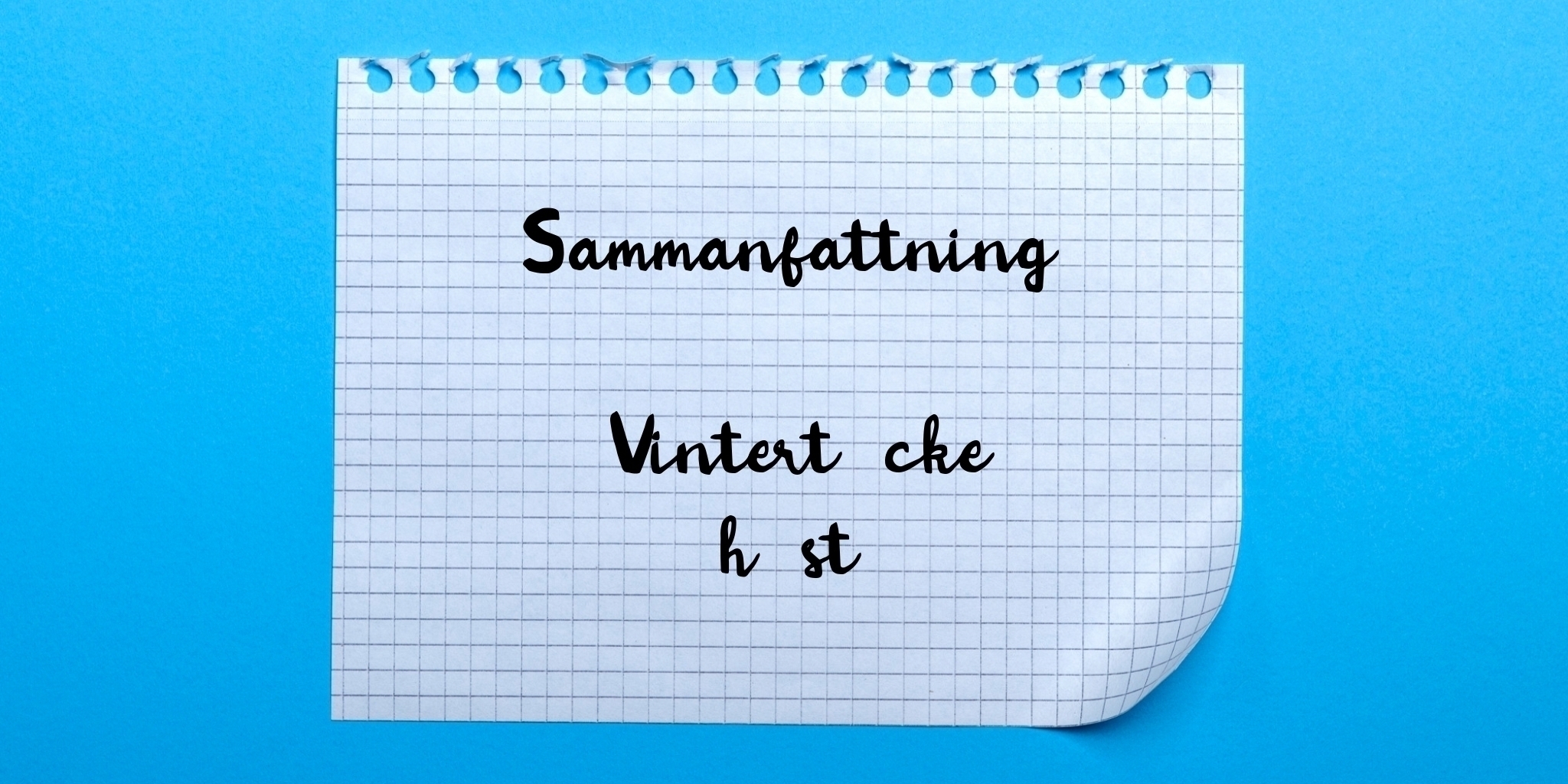 Sammanfattning av vintertäcke häst