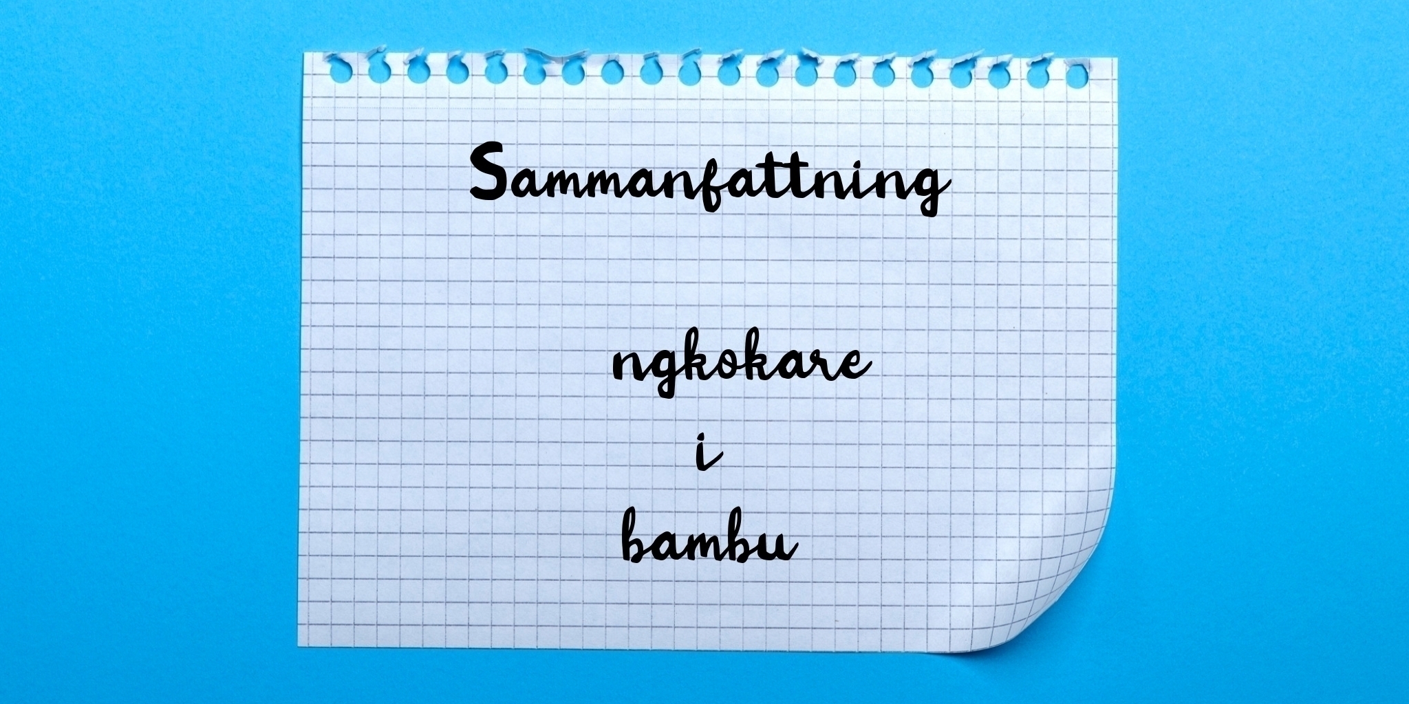 Sammanfattning av Ångkokare i bambu