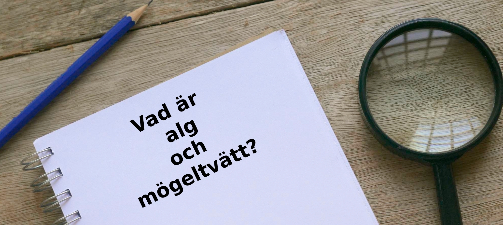 Vad är alg och mögeltvätt