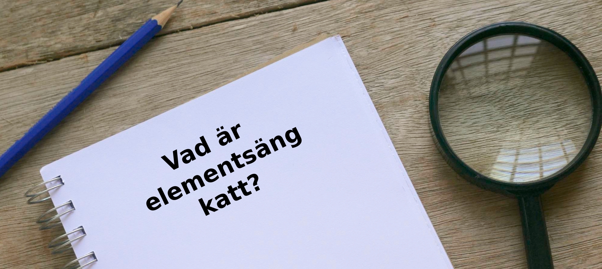 Vad är elementsäng katt