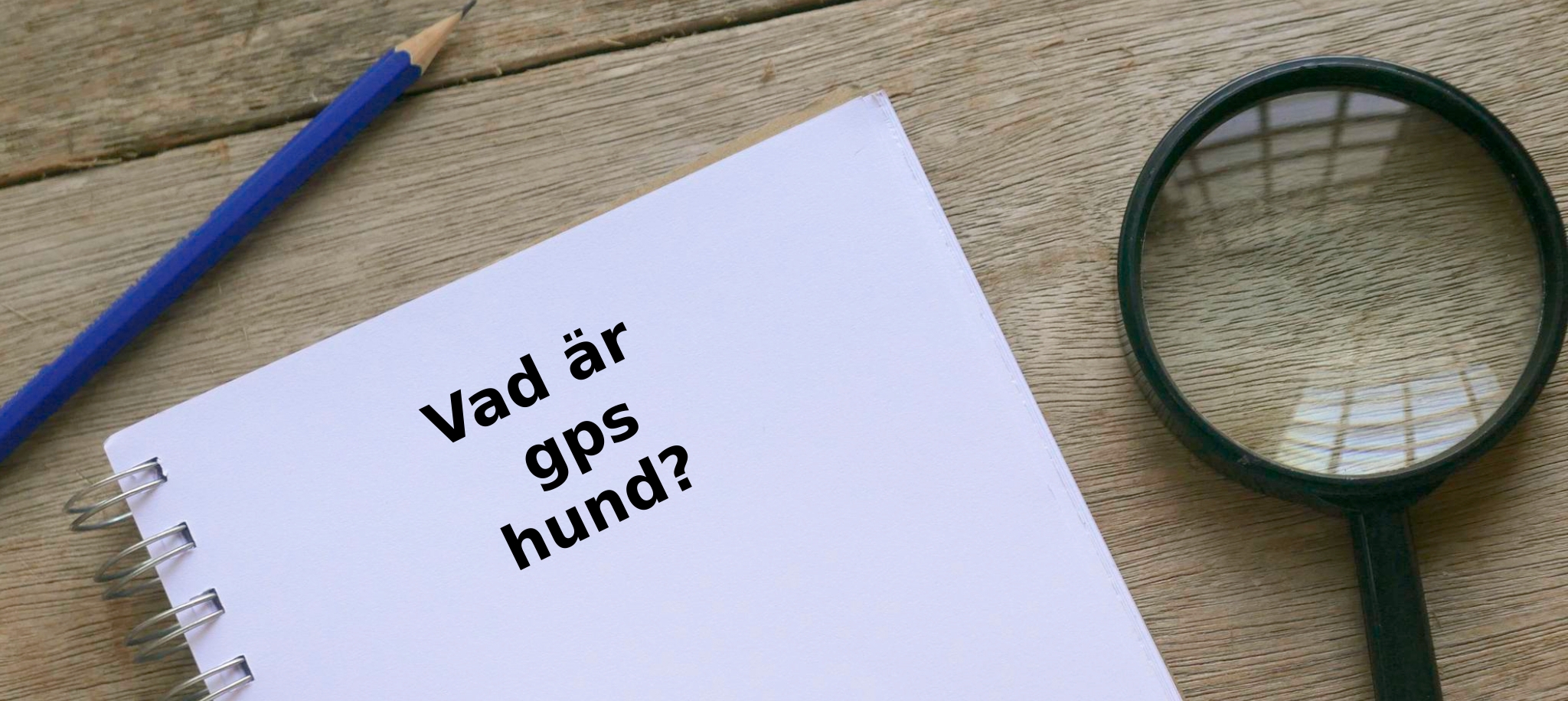 Vad är gps hund