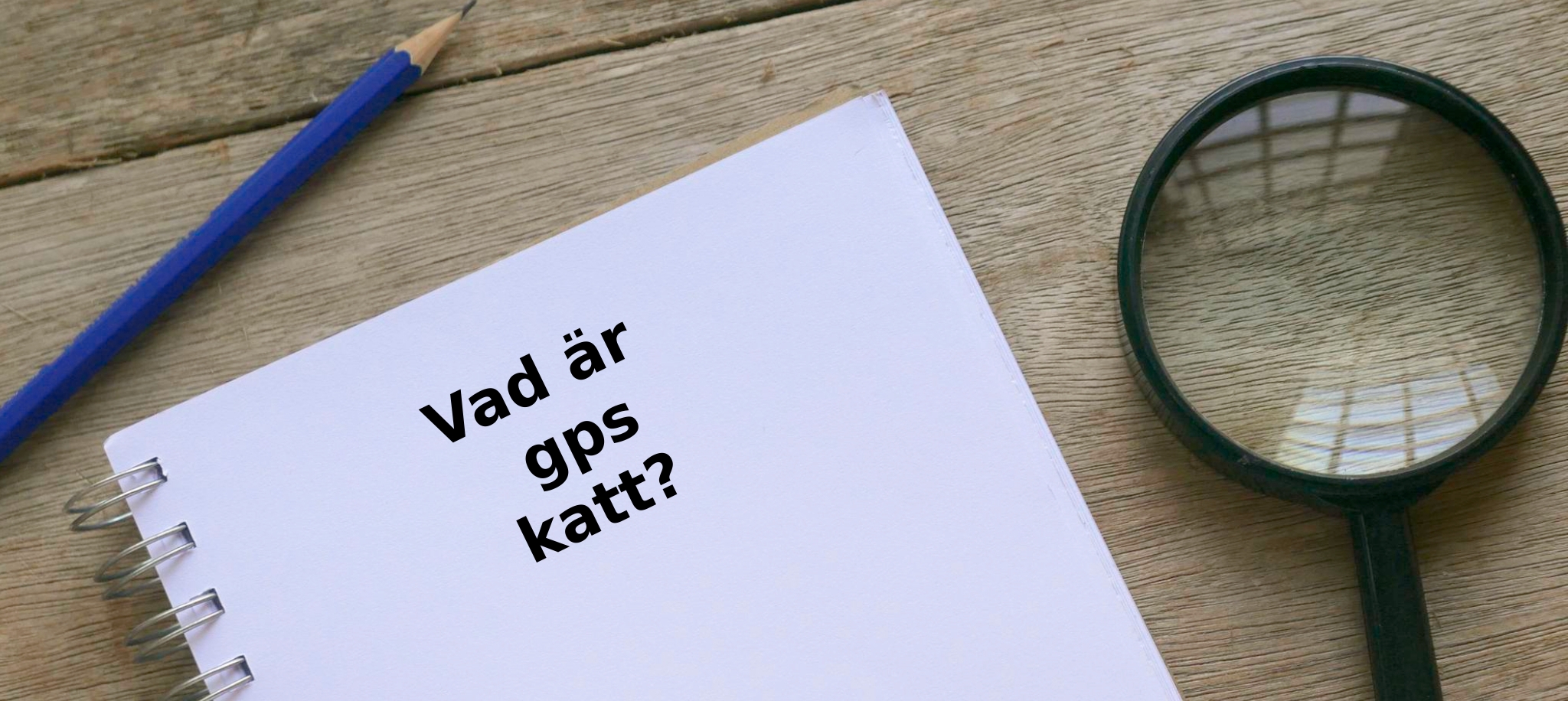 Vad är gps katt