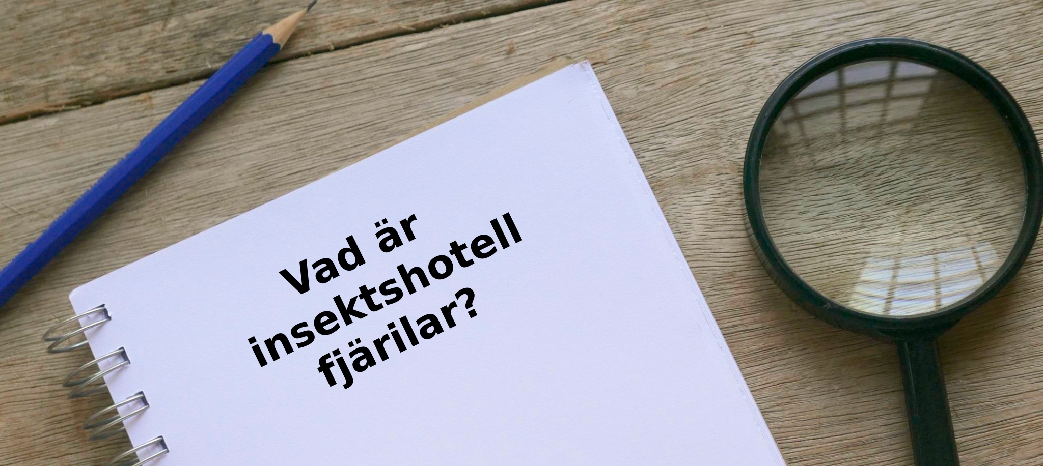 Vad är insektshotell fjärilar