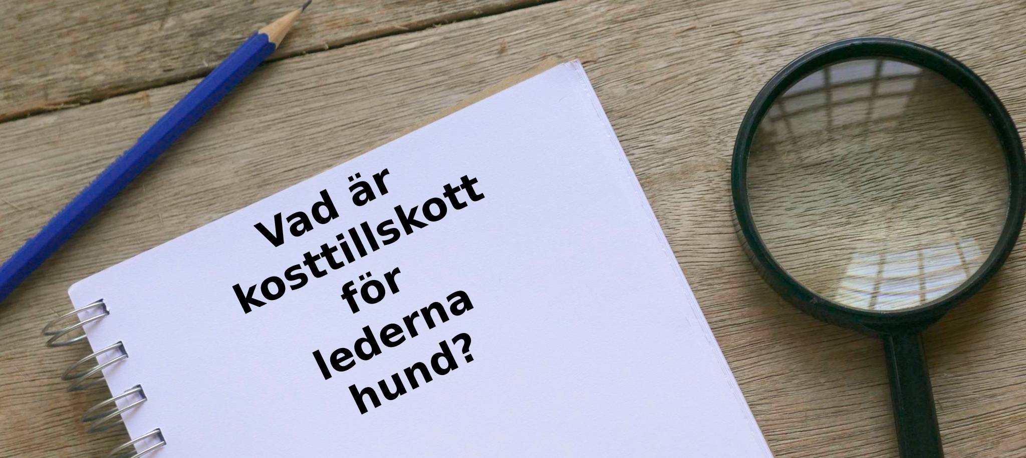 Vad är kosttillskott för lederna hund