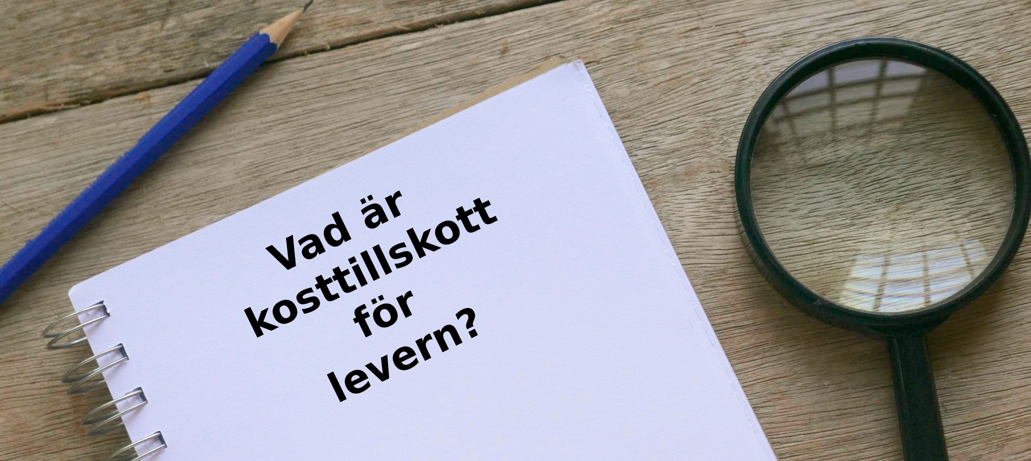 Vad är kosttillskott för levern