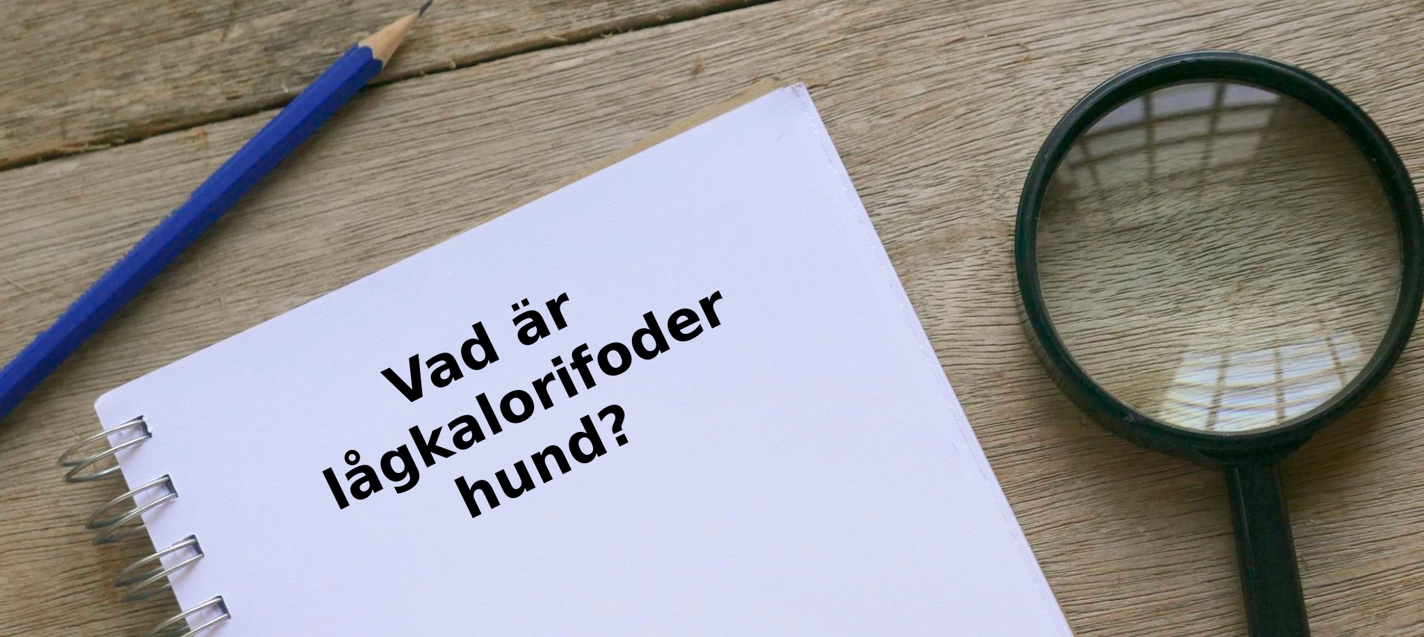 Vad är lågkalorifoder hund