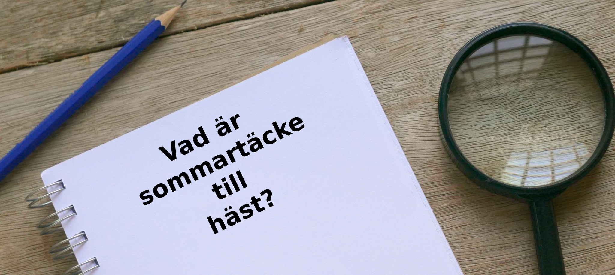 Vad är sommartäcke till häst