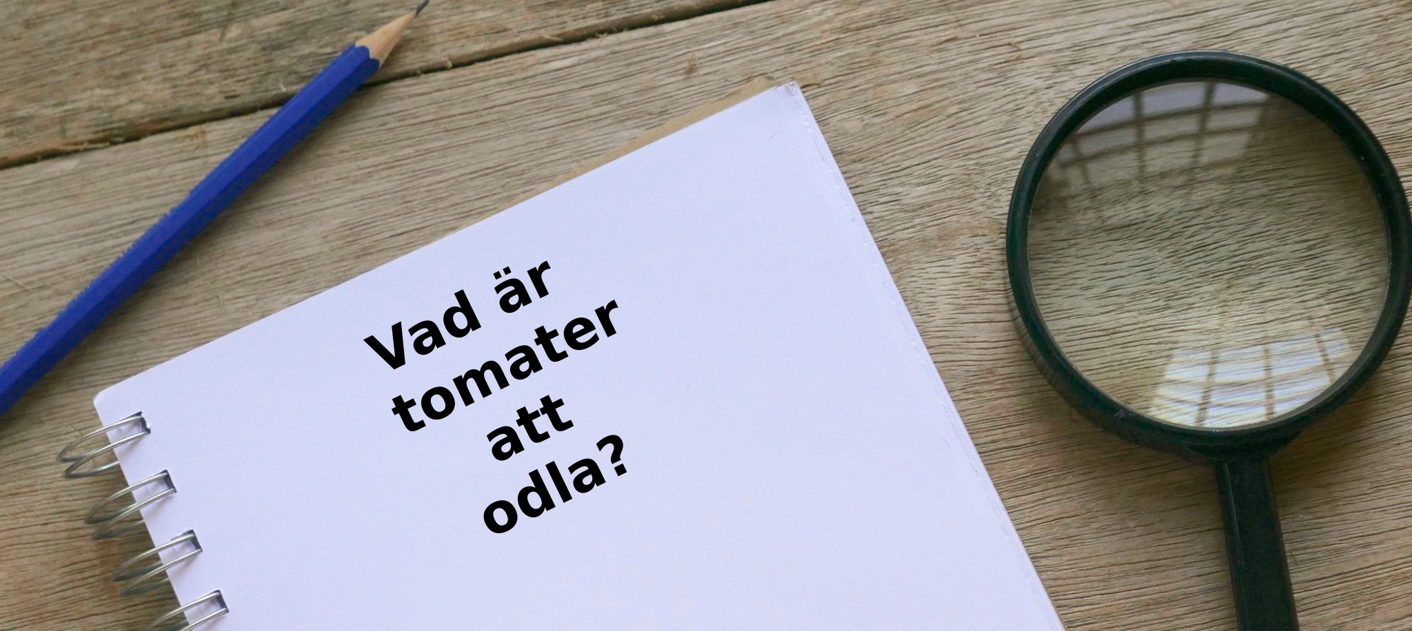 Vad är tomater att odla