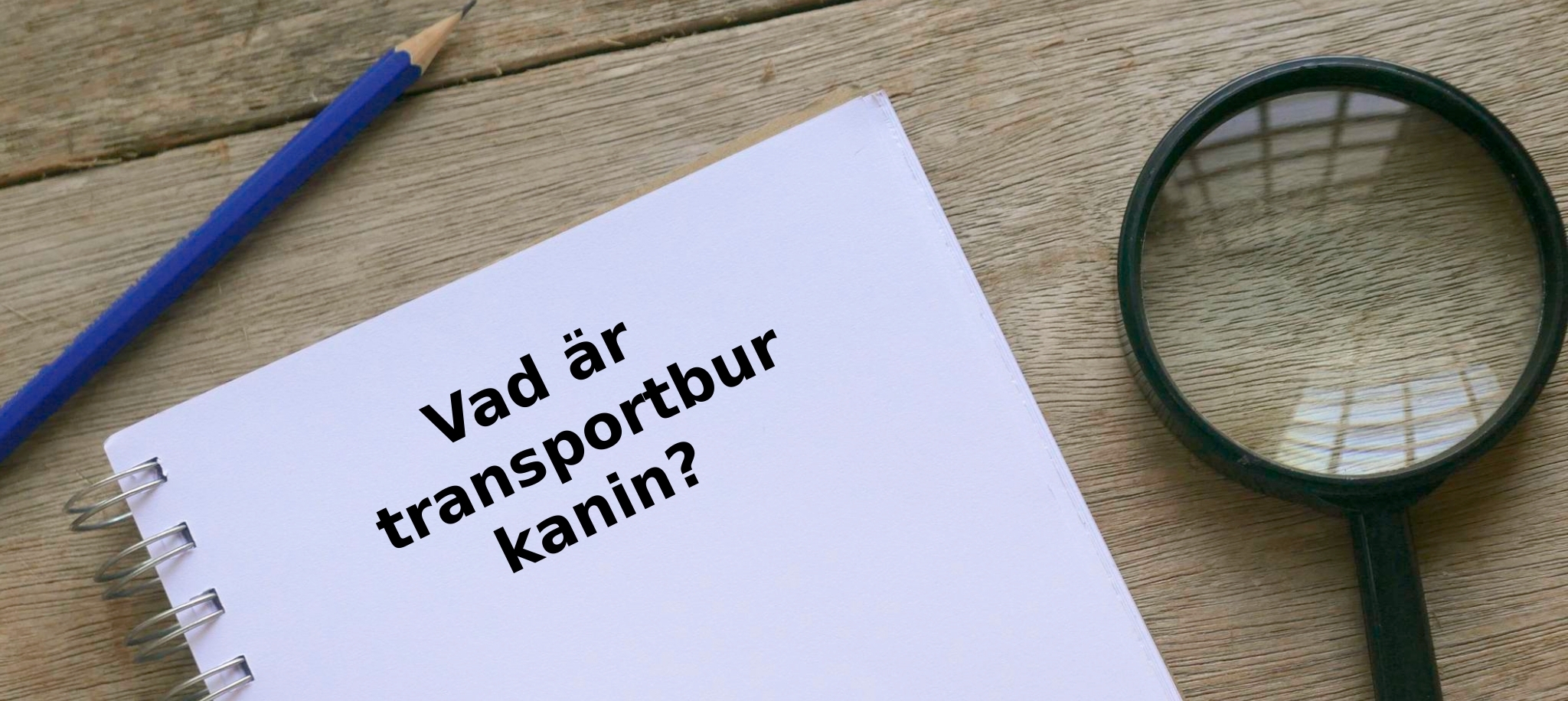 Vad är transportbur kanin