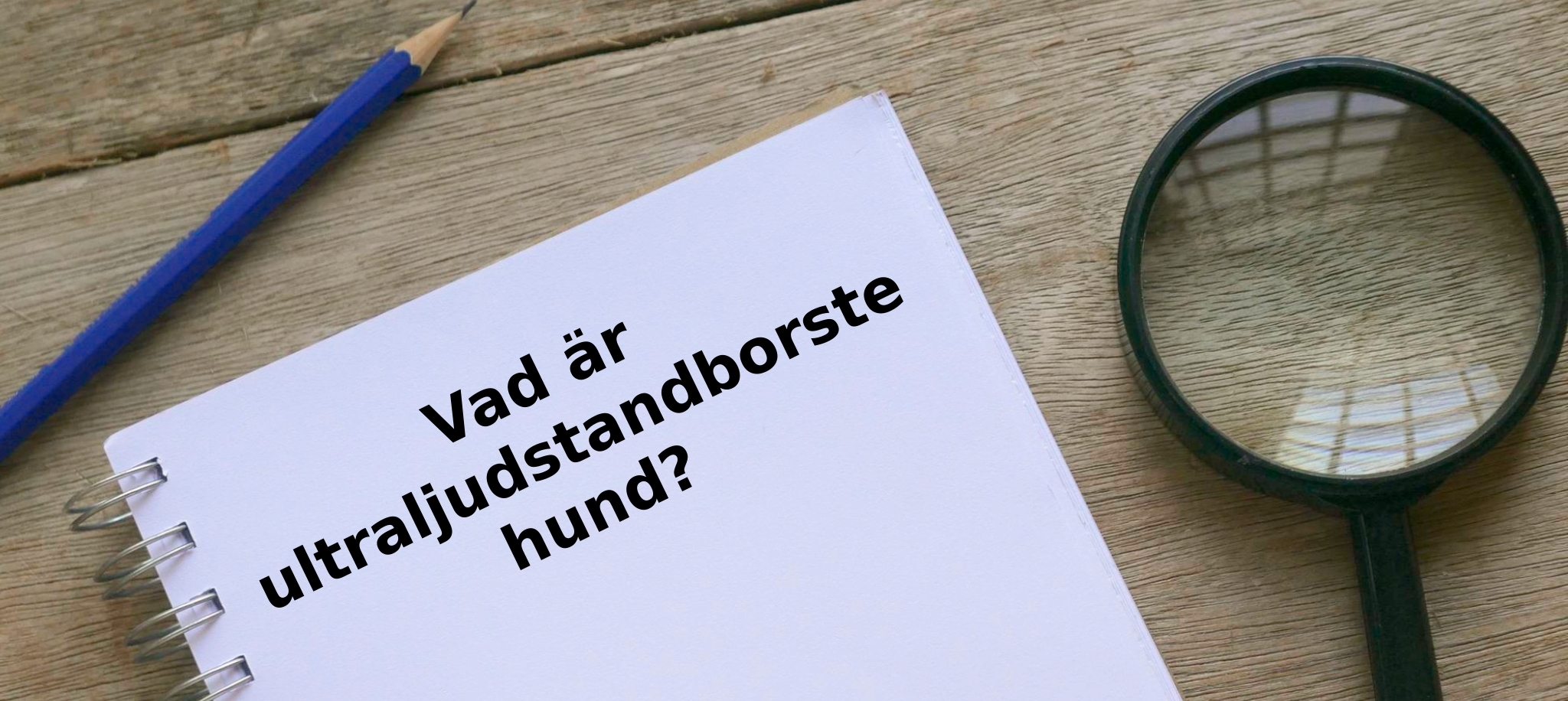 Vad är ultraljudstandborste hund