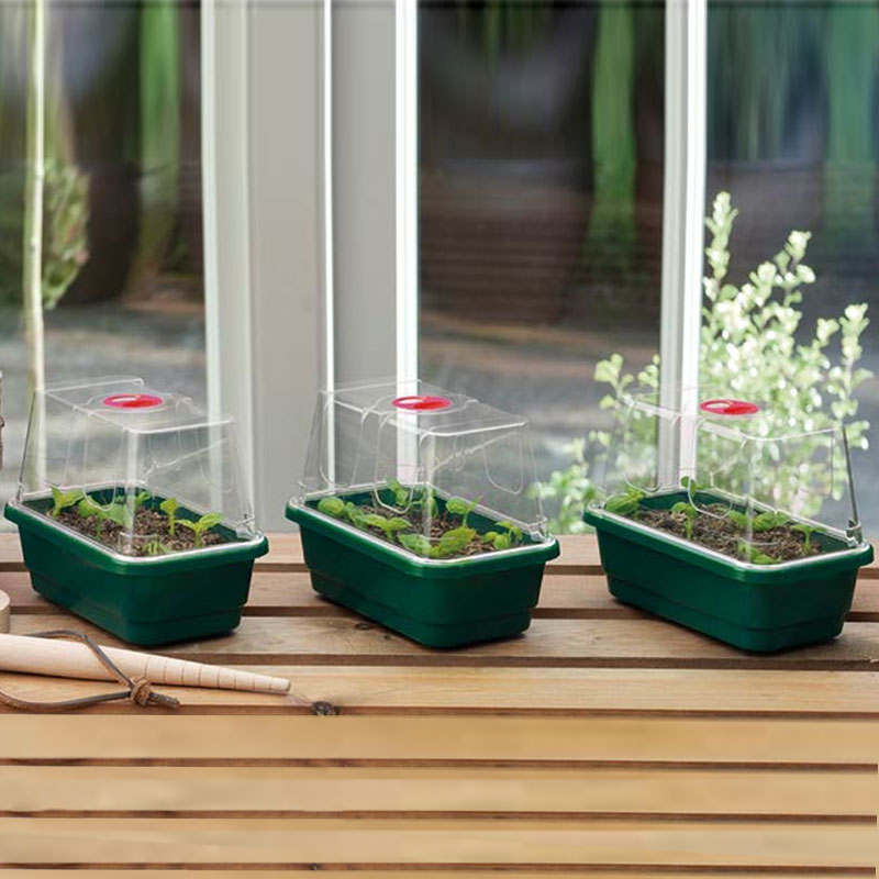 Minidrivhus mini 3-pack, grön
