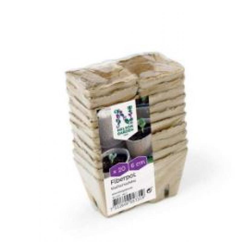 Nelson Garden 6cm 20st