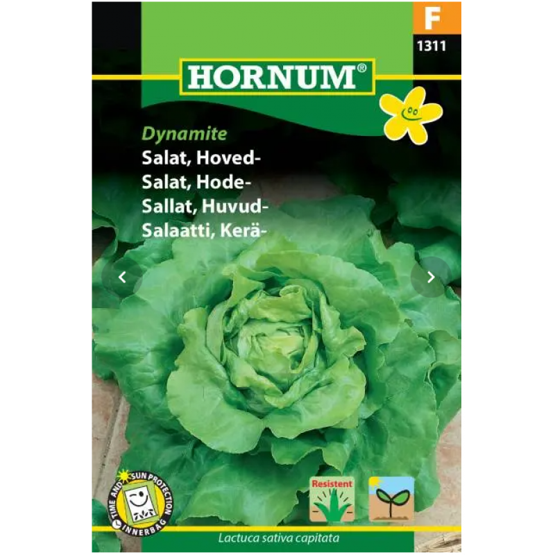 Huvudsallad 'Dynamite' Frö