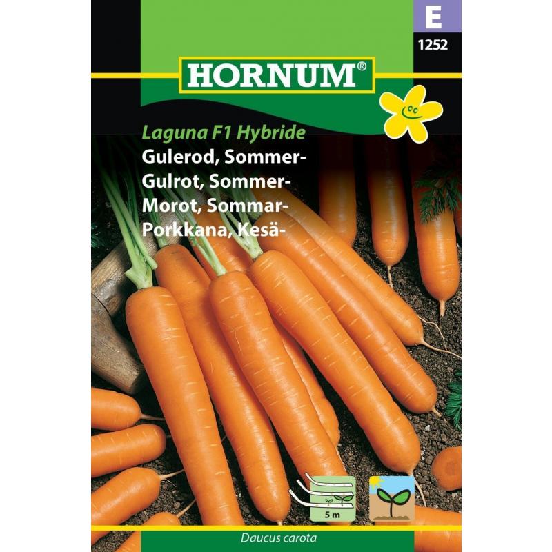 Morot Laguna Såband