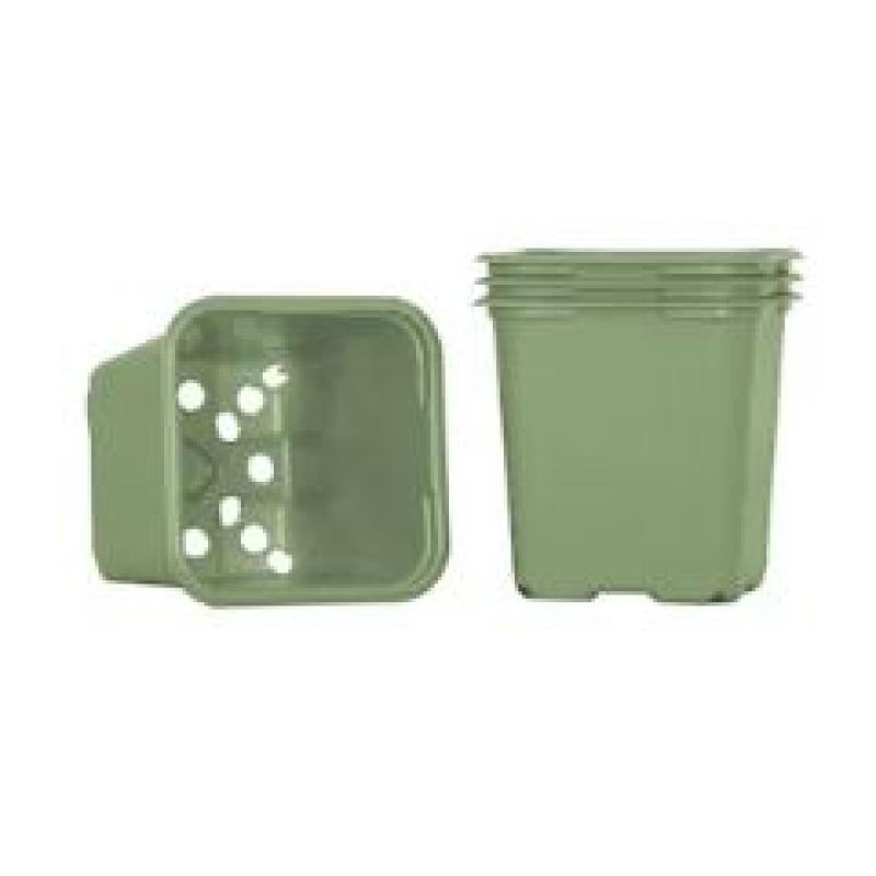 Planteringskruka 8cm, Grön 20st