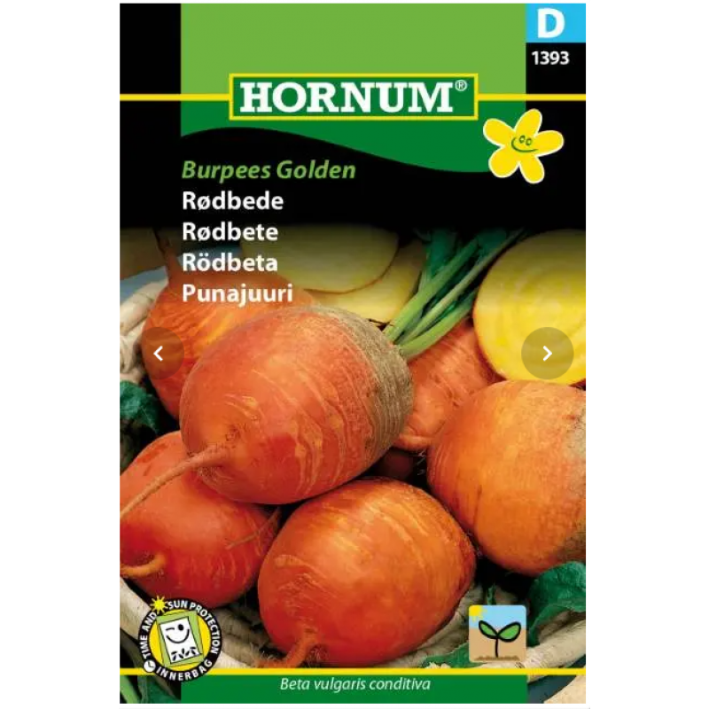 Rödbeta ''Burpees Golden' Frö