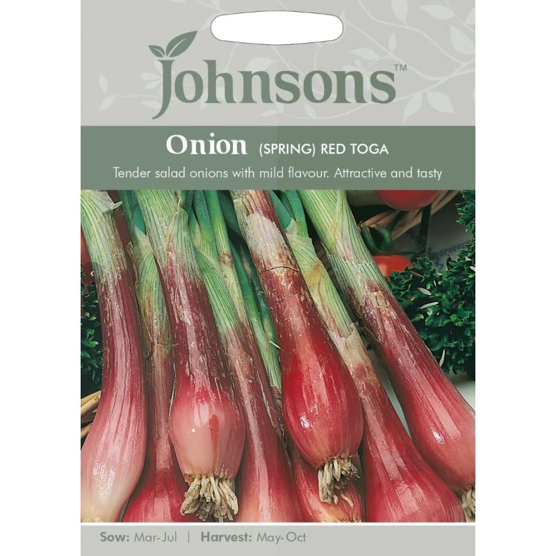Salladslök 'Red Toga