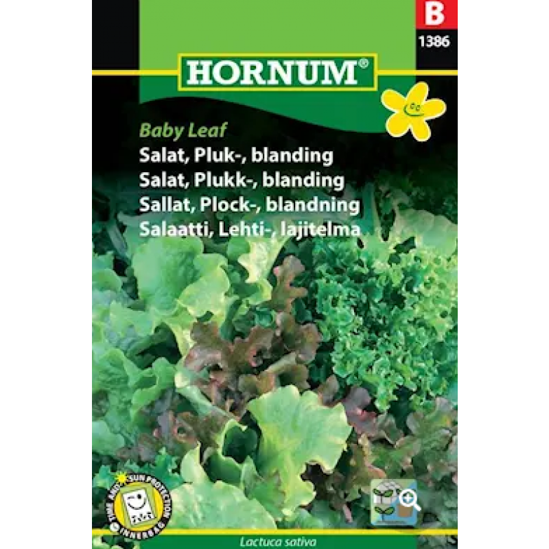 Plocksallat Mix 'Baby Leaf' frö
