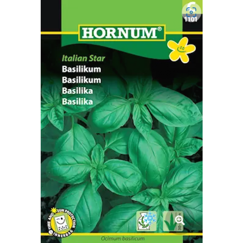 Citronbasilika 'Lemon'