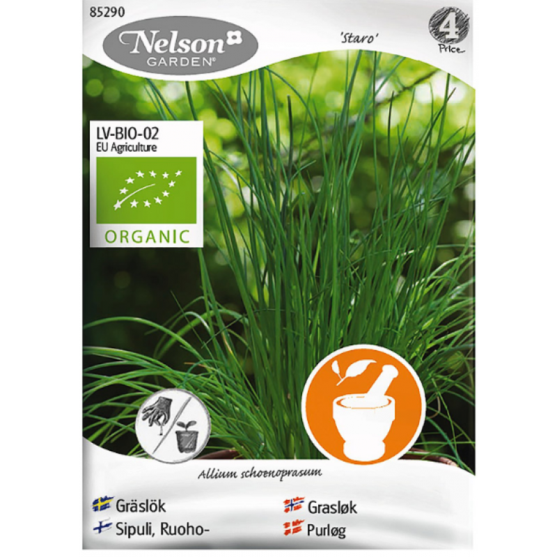 Gräslök 'Staro', ekologisk