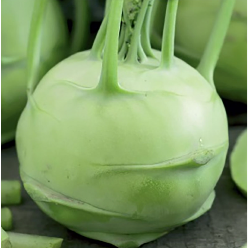 Kålrabbi 'Luna'