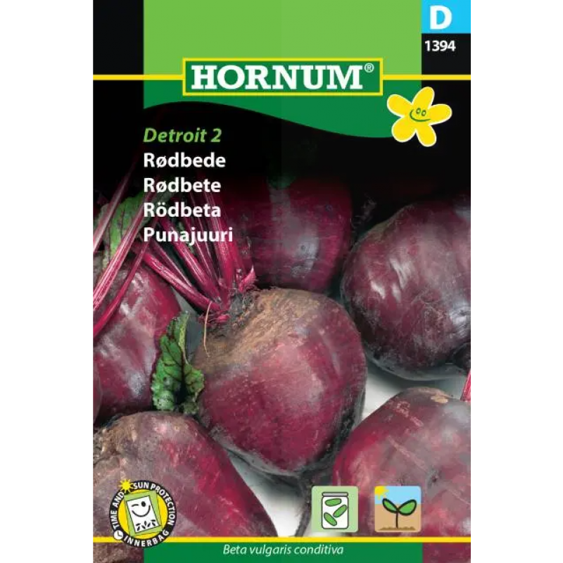 Rödbeta 'Detroit 2' frö