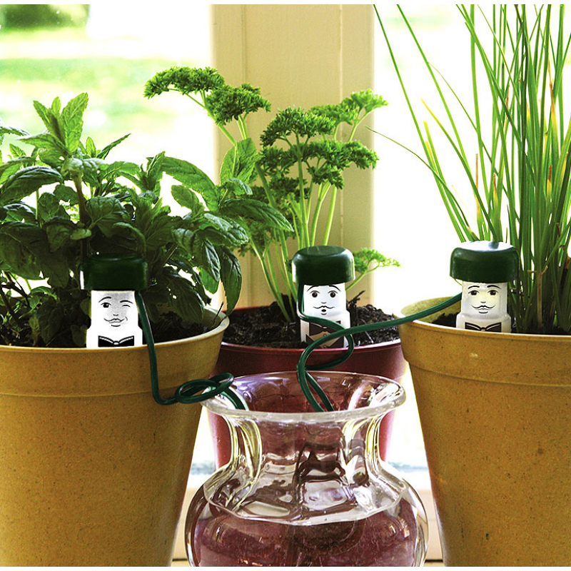 Water-Waiter semestervattnare, 3-pack