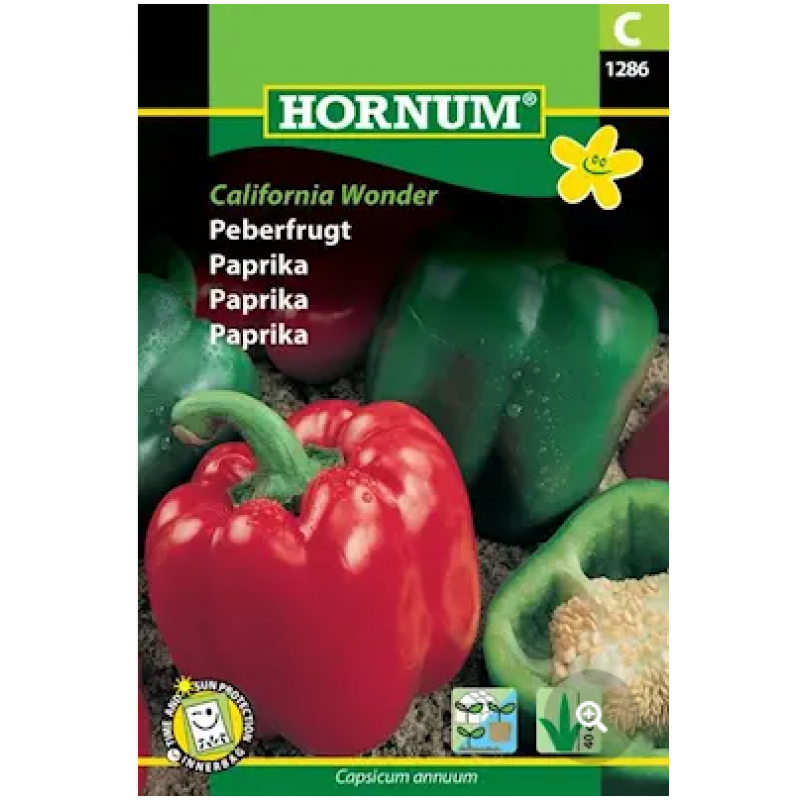 Paprika 'California Wonder'