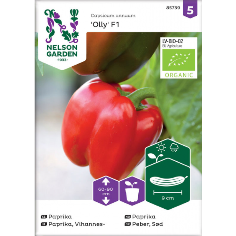Paprika 'Olly F1', ekologisk
