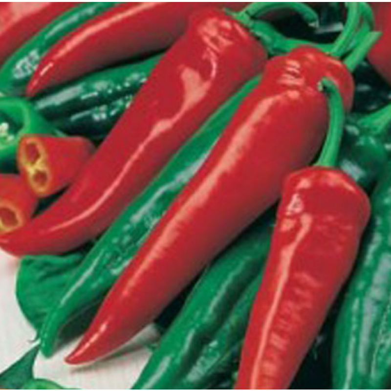Paprika 'Friggitello'