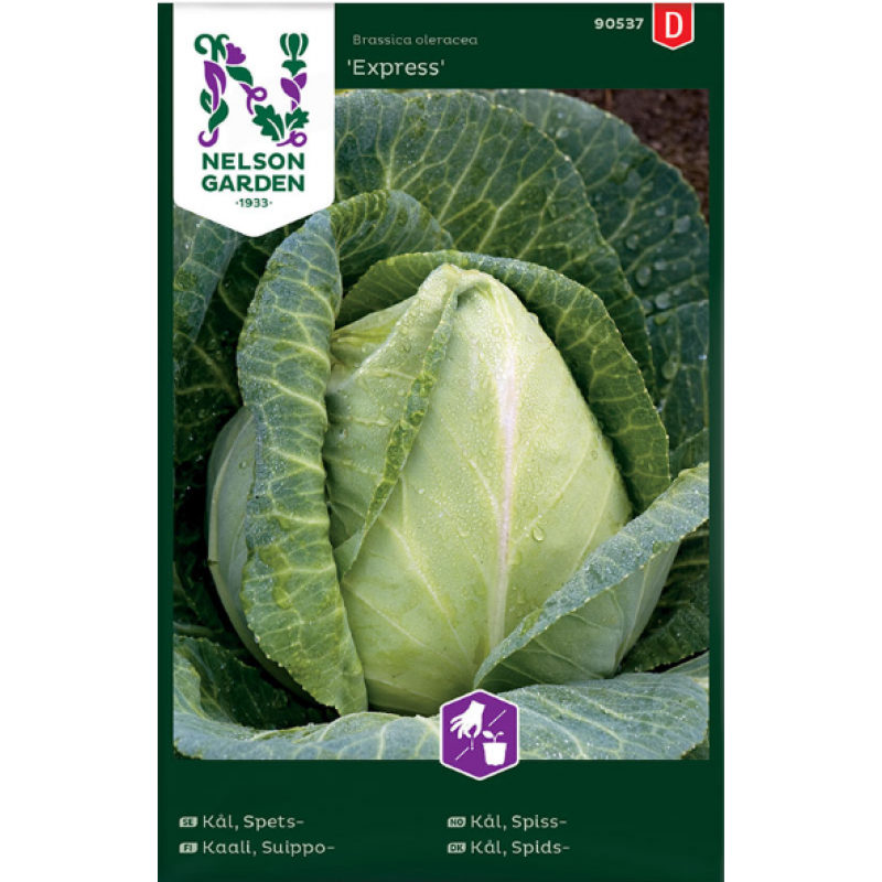 Spetskål Express